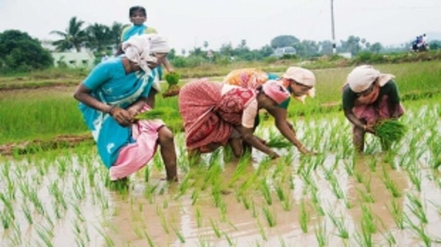 Why is the govt imposing more poverty on us, ask farmers