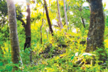 Why not land earlier earmarked for SEZ be given to IIT?