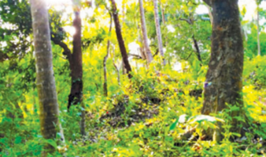 Why not land earlier earmarked for SEZ be given to IIT?