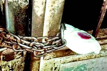 Why was Calangute PI made scapegoat for doing his duty?