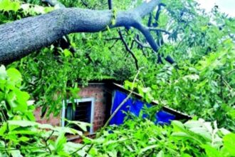 Widespread damage in taluka