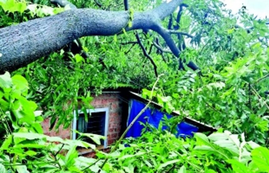 Widespread damage in taluka 1 Widespread damage in taluka