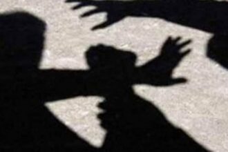 Wife of eminent Vet  attacked in city