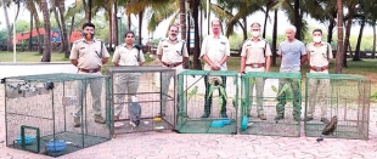 Wild animals, birds rescued in raid on Varca hall