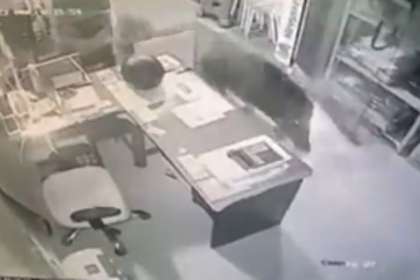 Wild boar run amok, break into shop at  Canacona, damage glass cupboards