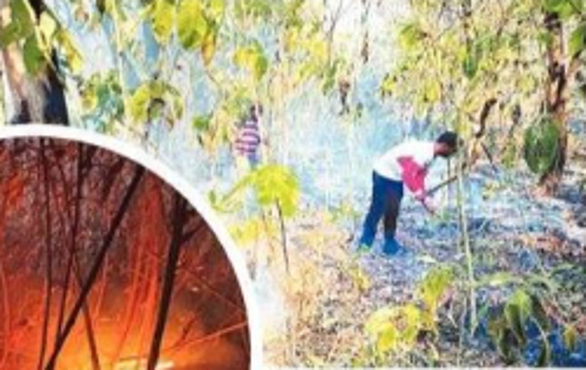 Wildfire at Kariamol in Kalay village continues to rage into third day
