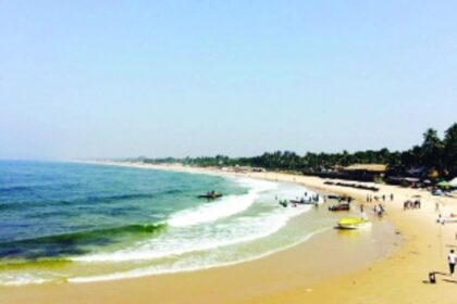 Will CZMP be a death knell for Goa’s coastal ecosystems?