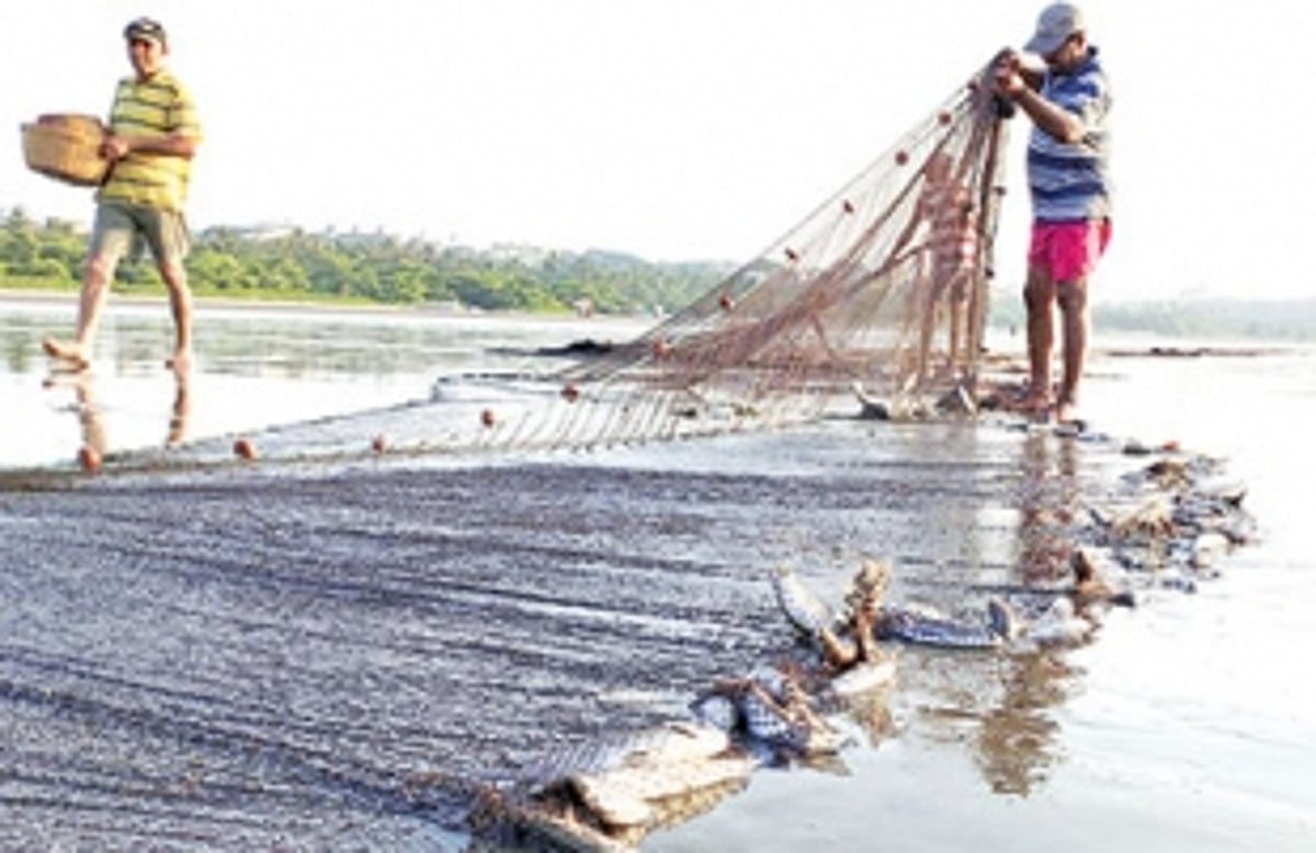 Will Goan youth take up traditional occupations?