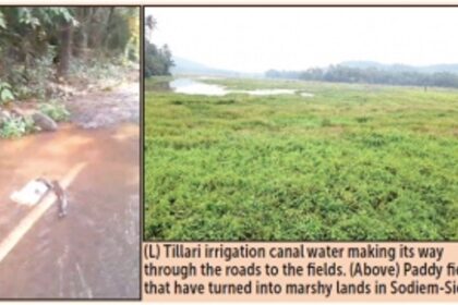 Will Siolkars save their fields  that have been ‘drowned’ by Tillari?