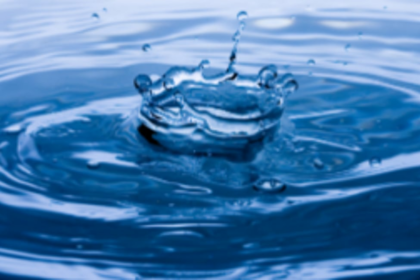 Will bureaucracy respect oral orders?