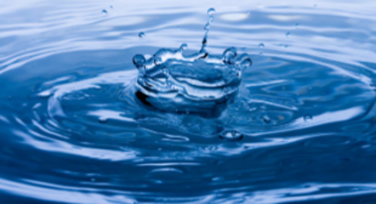 Will bureaucracy respect oral orders?