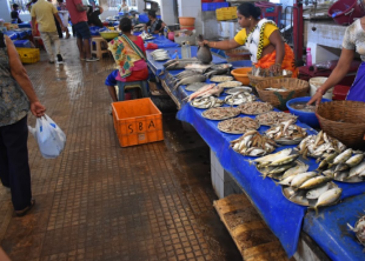 Will not tolerate any interference from  wholesale fish traders: Local fishermen