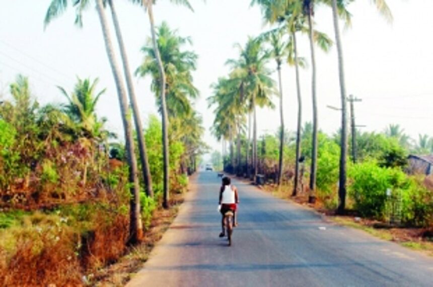 Will panchayat polls be held on  party lines?