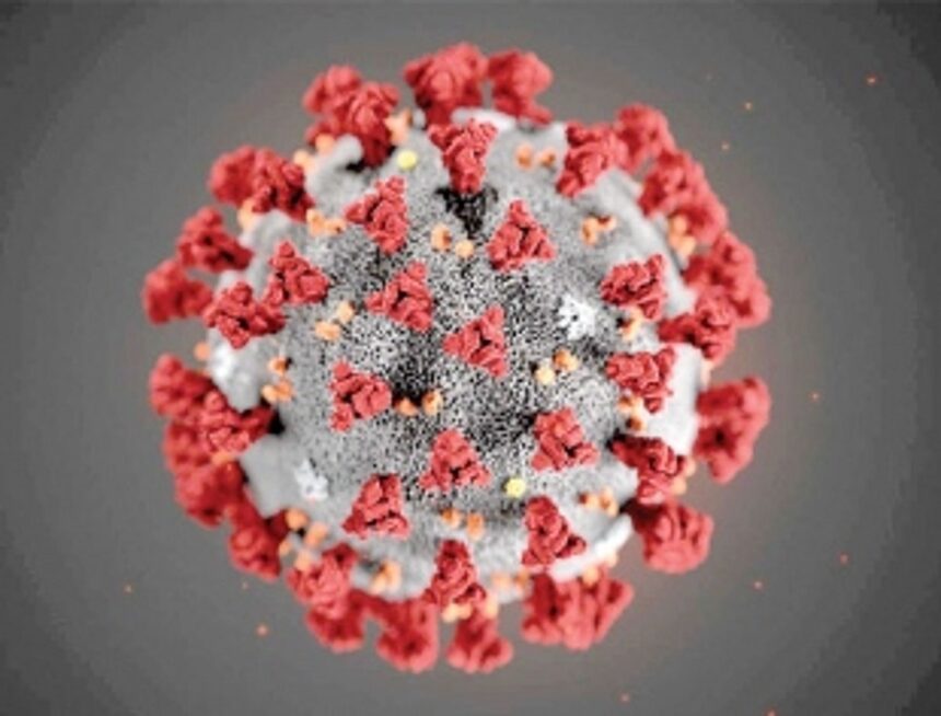 Will take at least a year for anti-COVID-19 vaccine: Scientist