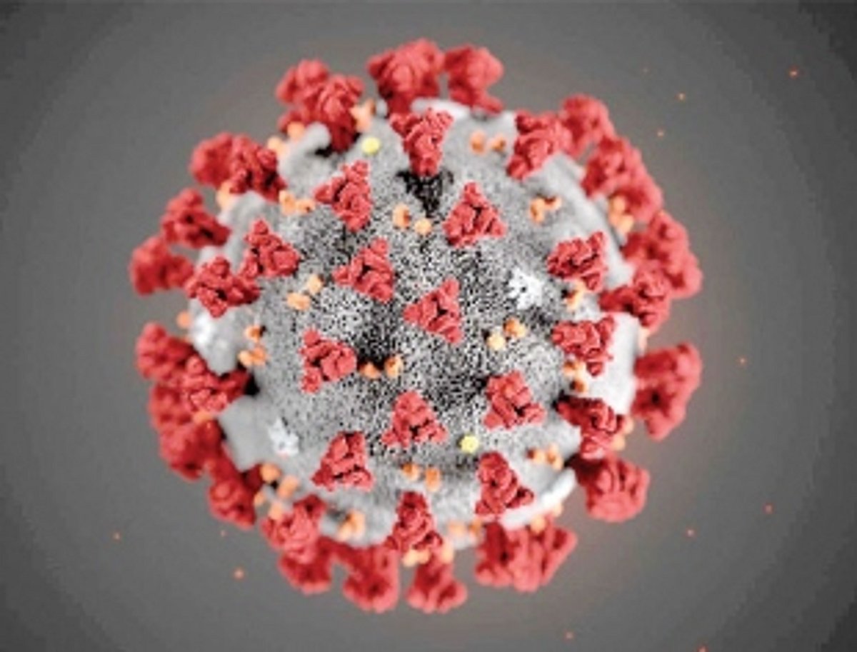 Will take at least a year for anti-COVID-19 vaccine: Scientist