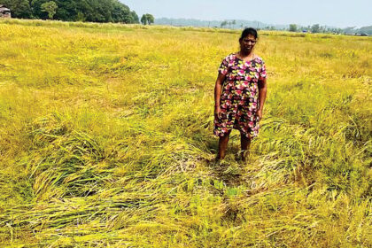 Will the Agriculture Dept be sympathetic to farmers for crop loss?