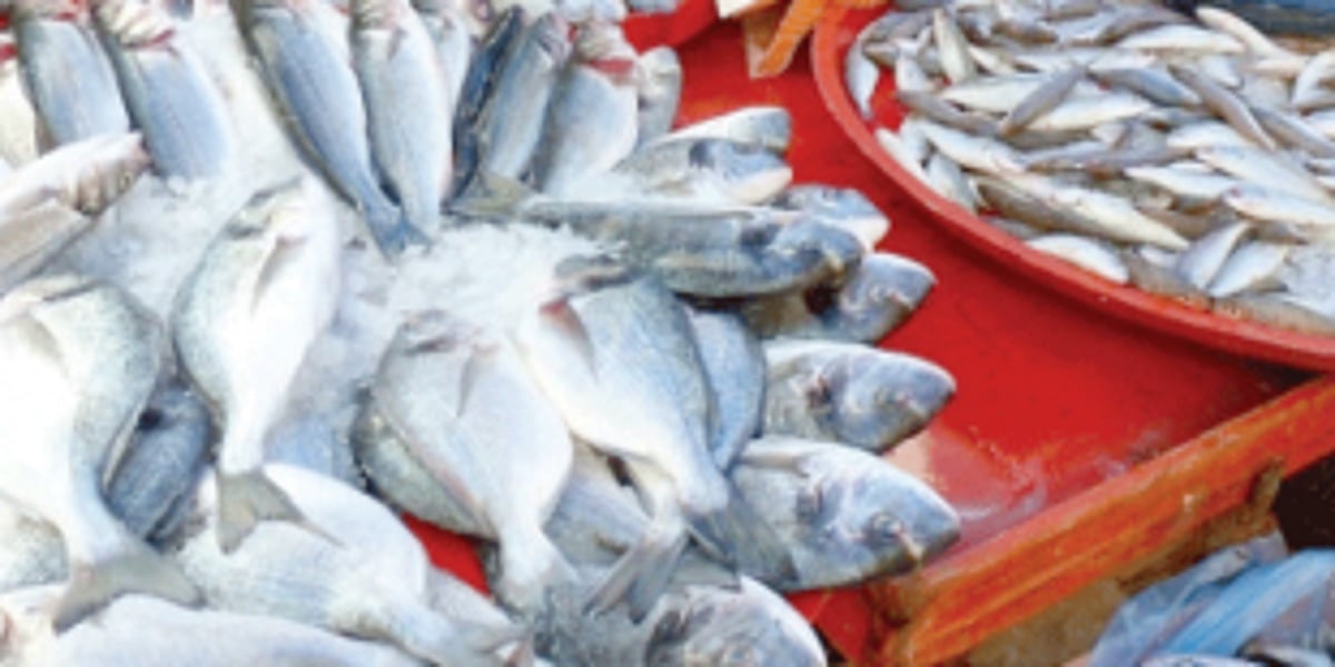 Will there finally be transparent formalin testing? SGPDA claims there will be