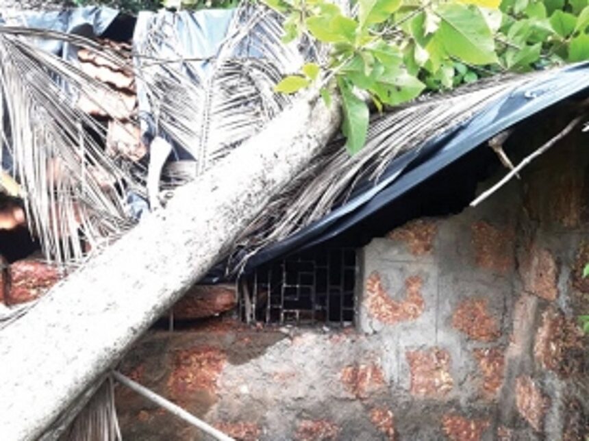 Winds wreak havoc in Aldona