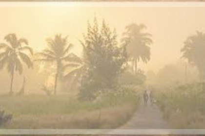 Winter survival: Do’s and don’ts for the approaching cold season in Goa