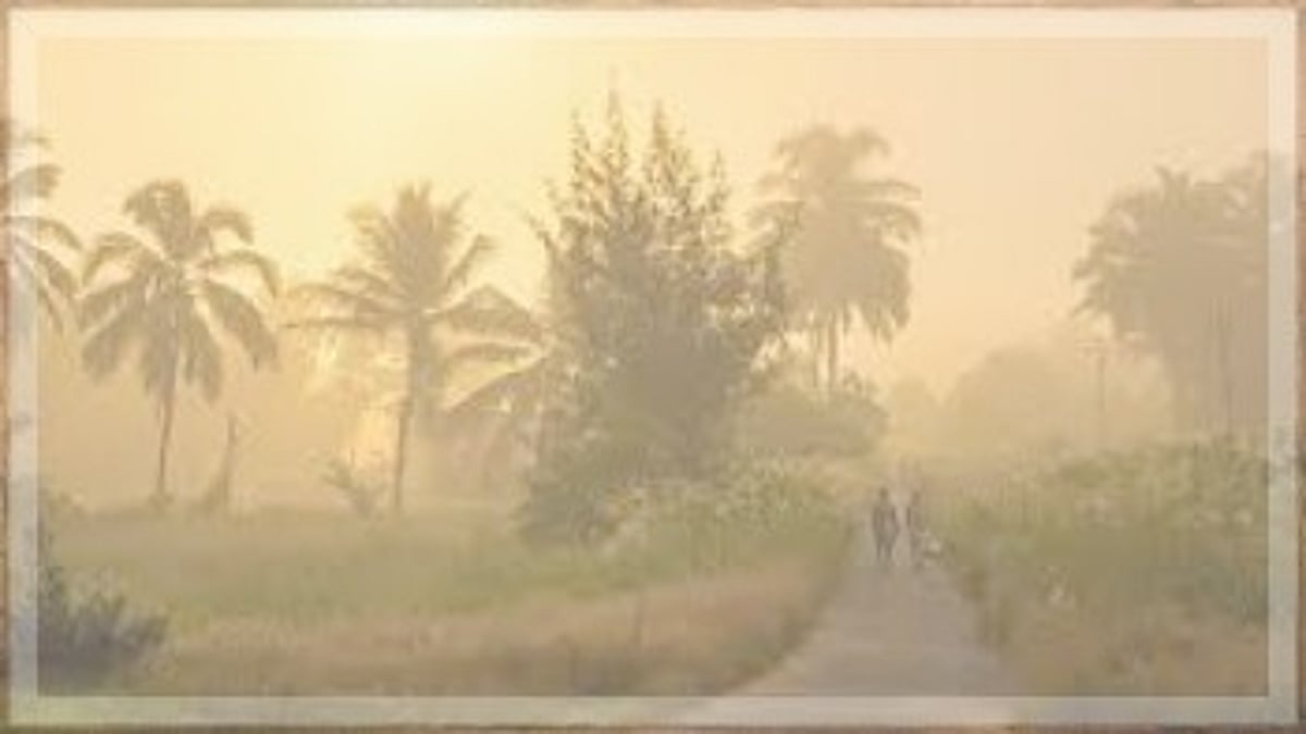 Winter survival: Do’s and don’ts for the approaching cold season in Goa