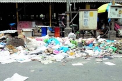 Wire-mesh garbage cage  needed at Vasco fish market
