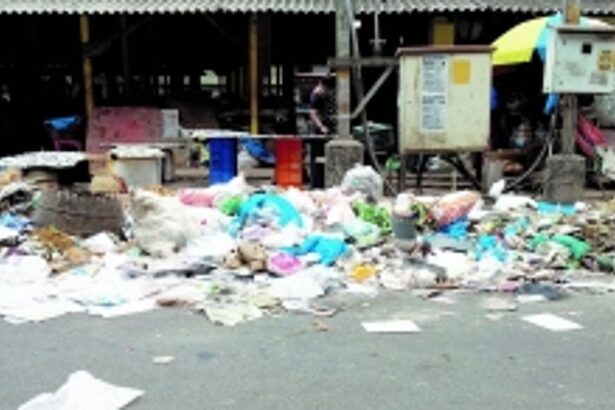 Wire-mesh garbage cage  needed at Vasco fish market