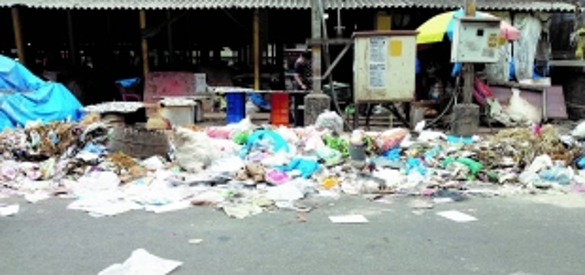 Wire-mesh garbage cage  needed at Vasco fish market
