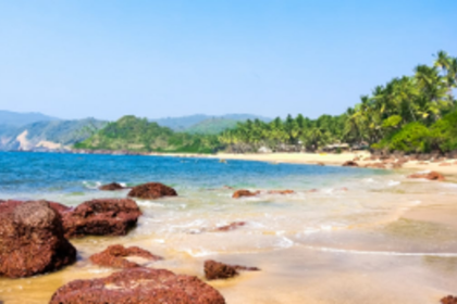 With CZMP 2019 pending, provisions  of CRZ 2019 not applicable to Goa