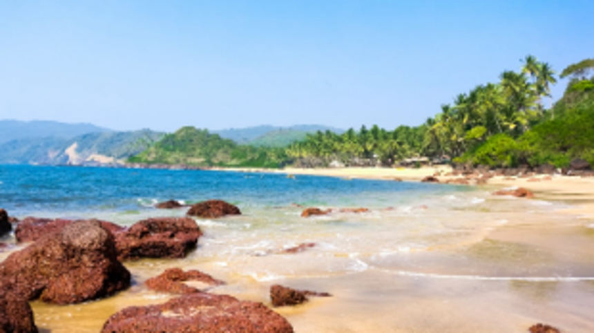 With CZMP 2019 pending, provisions  of CRZ 2019 not applicable to Goa