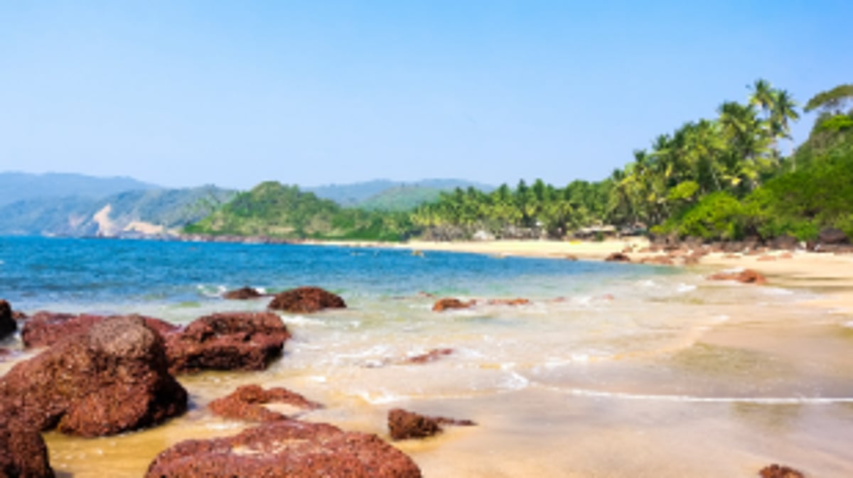 With CZMP 2019 pending, provisions  of CRZ 2019 not applicable to Goa