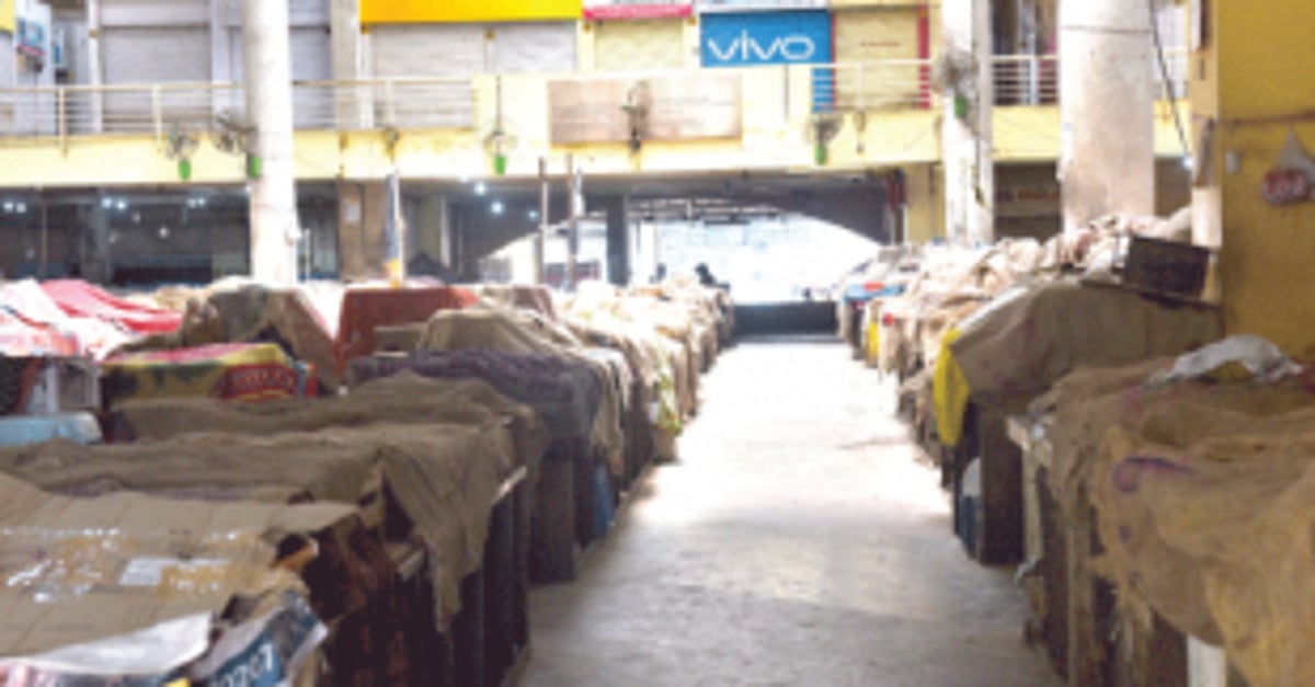 With Panjim market closed during COVID-19 pandemic, rats had a gala time