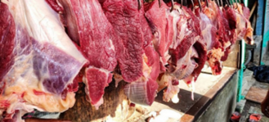 With abattoir ready, reasonably priced beef promised