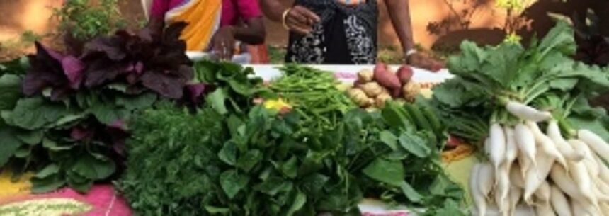 With entry of local veggies, prices drop