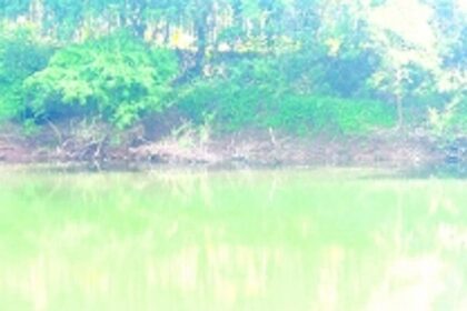 With no safety wall, orchards in Dabal on the verge of getting submerged