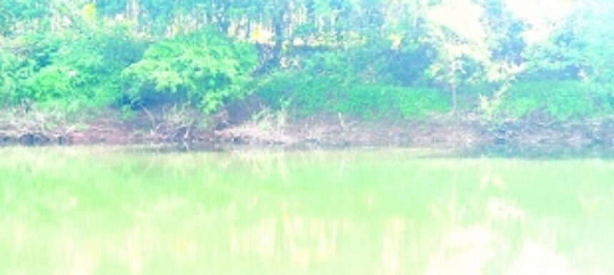 With no safety wall, orchards in Dabal on the verge of getting submerged