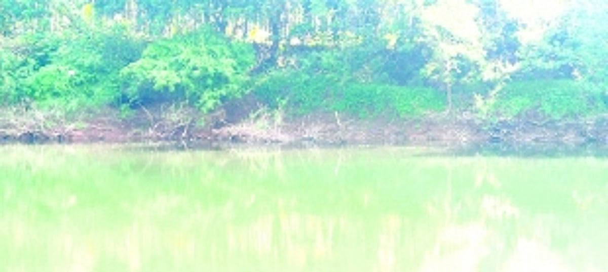 With no safety wall, orchards in Dabal on the verge of getting submerged