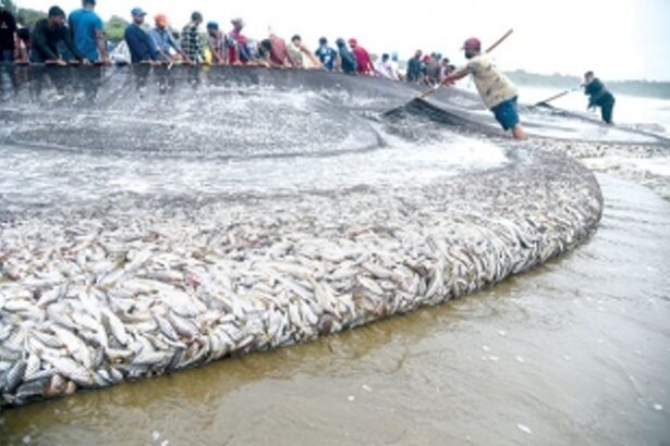 With poor govt support, local fishermen flounder