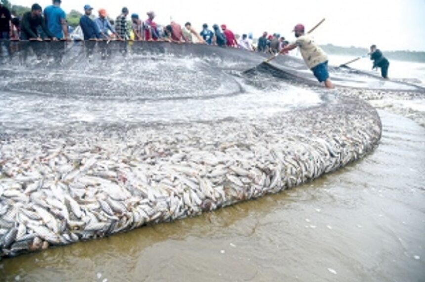 With poor govt support, local fishermen flounder