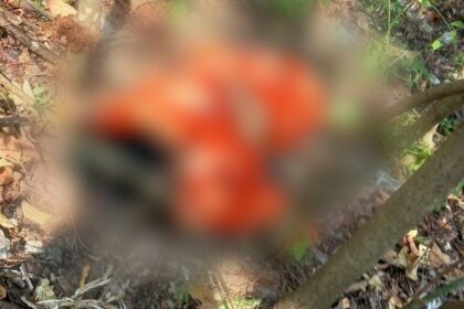 Woman Falls to Death from Railway Bridge in Goa Due to Passing Train's Breeze