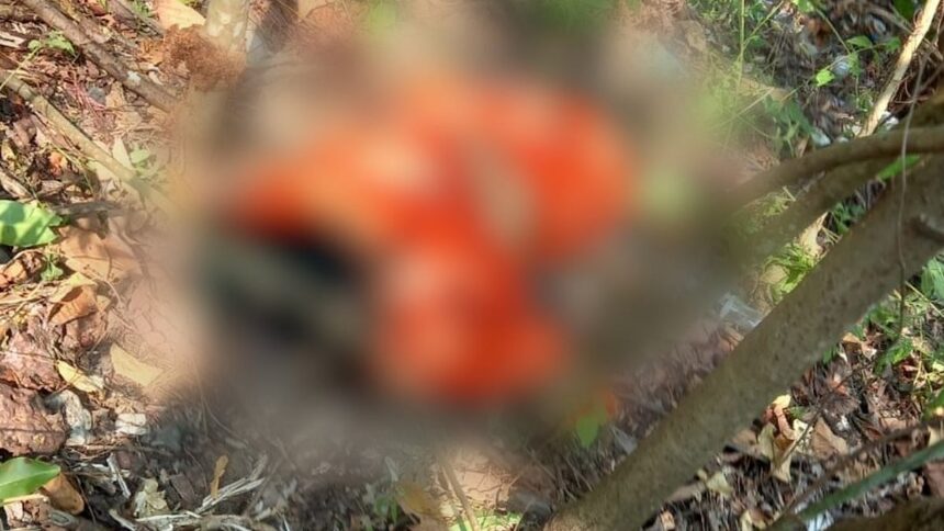 Woman Falls to Death from Railway Bridge in Goa Due to Passing Train's Breeze