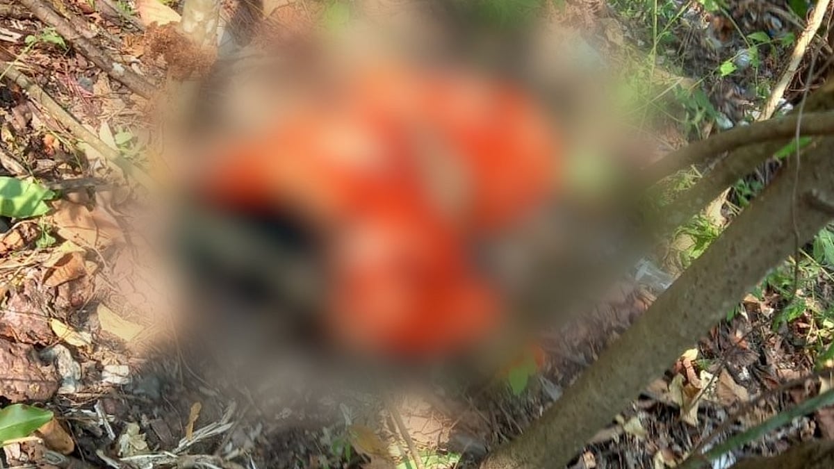 Woman Falls to Death from Railway Bridge in Goa Due to Passing Train's Breeze