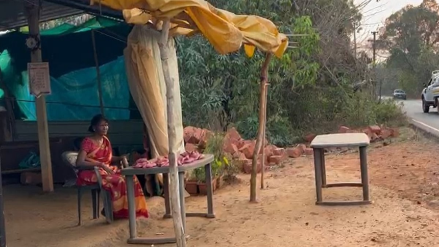 Women Farmers in Goa Struggle to Sell Organic Sweet Potatoes Amidst Challenges 1 Women Farmers in Goa Struggle to Sell Organic Sweet Potatoes Amidst Challenges