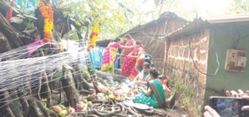 Women in Ponda observe Vat Purnima