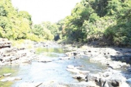 Women’s wing of Save Mhadei, Save  Goa gives call for bandh on March 20