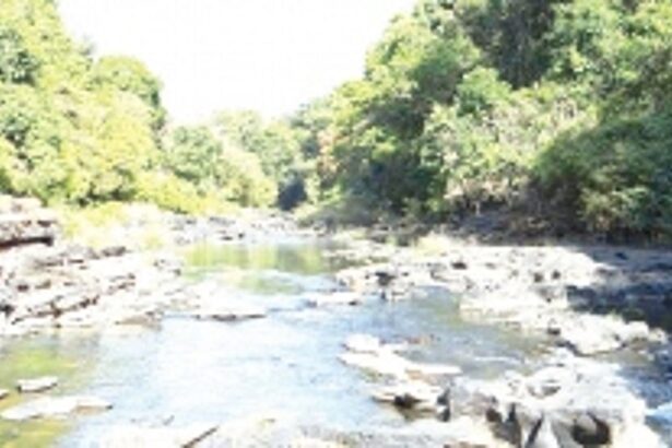 Women’s wing of Save Mhadei, Save  Goa gives call for bandh on March 20