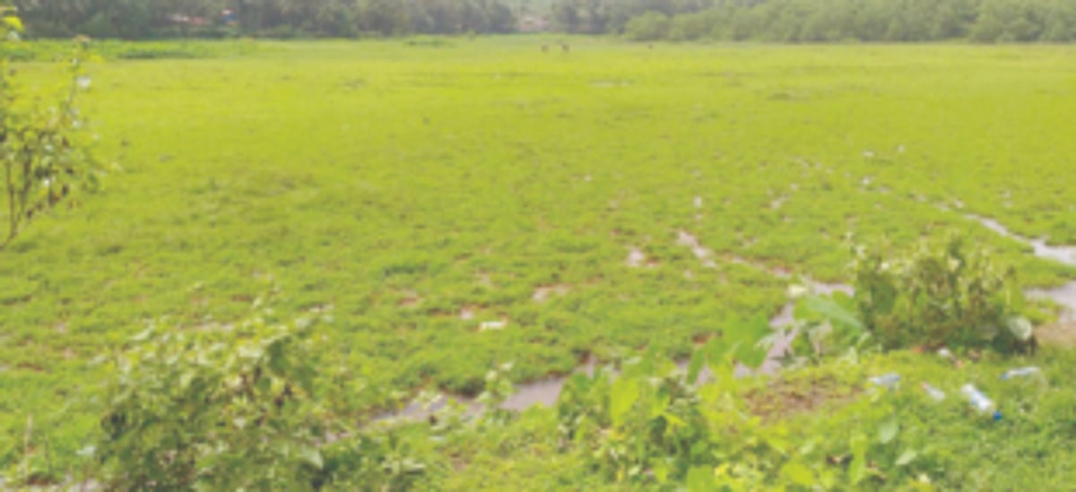 Won’t permit conversion of agricultural land for housing, warns Agri Min