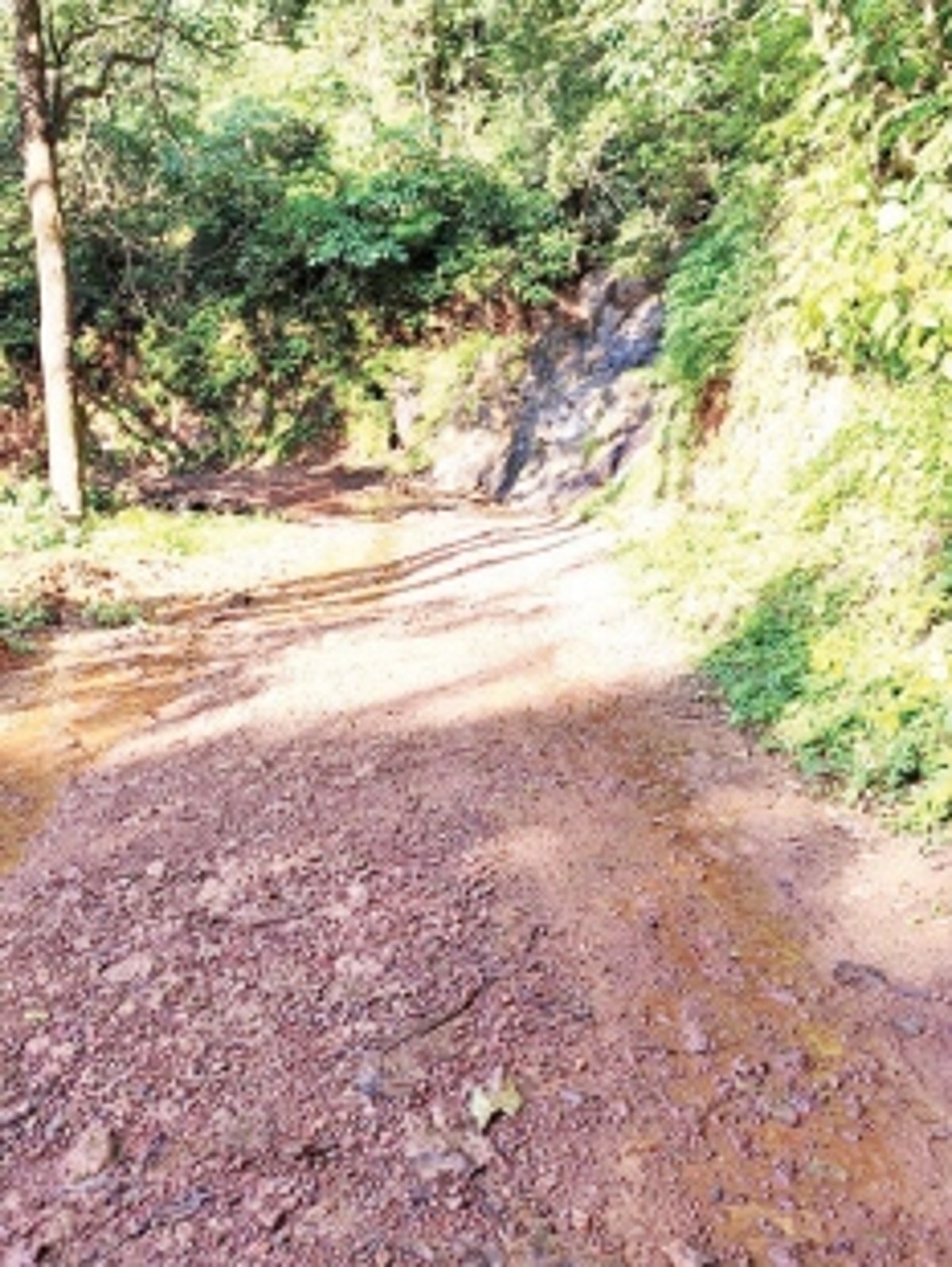 Won’t stop lone bus service to  Netravali hilly areas: KTC MD