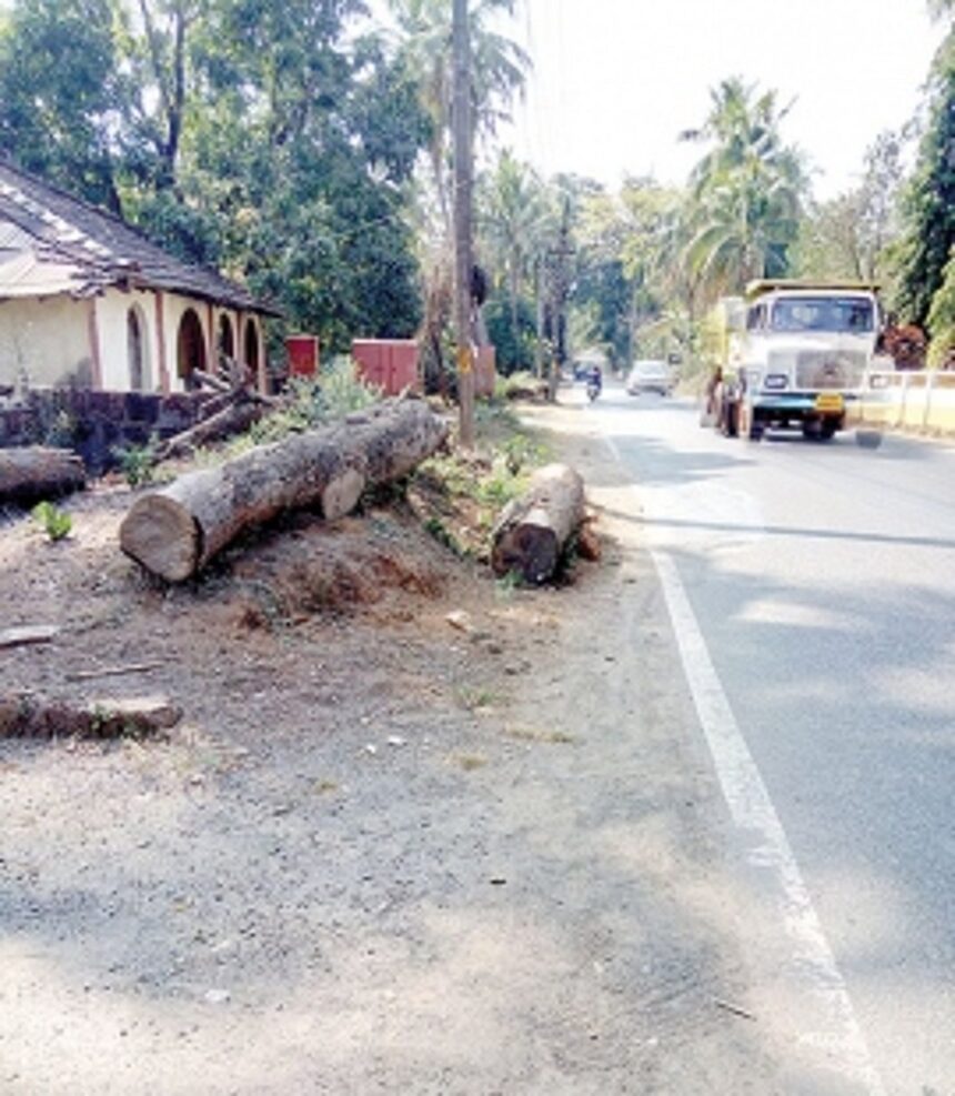 Wood logs lying near Quepem  town, a major traffic hazard