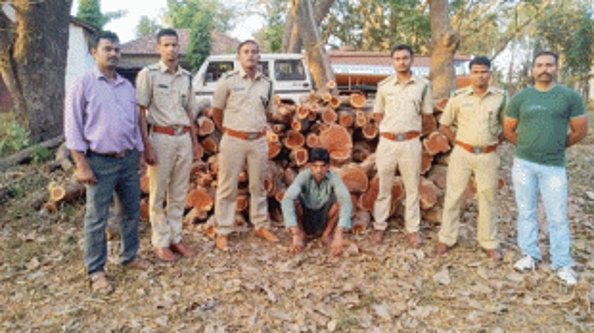 Wood worth Rs 1.8 lakh seized,  man arrested in raid at Usgao