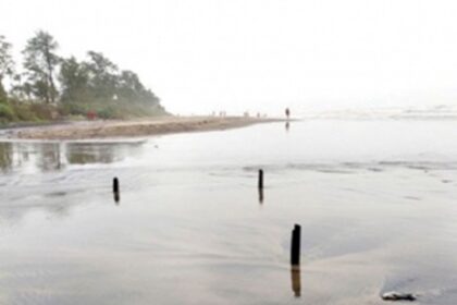 Wooden bamboo sticks pose danger on Arambol beach